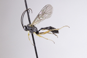  ( - CollHH4184)  @11 [ ] Creative Commons  Attribution Non-Commercial Share-Alike (2025) Hakon Haraldseide Unspecified