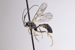  ( - CollHH4185)  @11 [ ] Creative Commons  Attribution Non-Commercial Share-Alike (2025) Hakon Haraldseide Unspecified