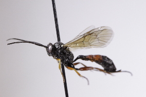  ( - CollHH4188)  @11 [ ] Creative Commons  Attribution Non-Commercial Share-Alike (2025) Hakon Haraldseide Unspecified