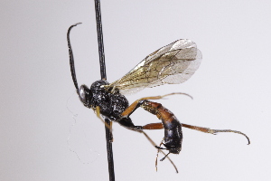  ( - CollHH4189)  @11 [ ] Creative Commons  Attribution Non-Commercial Share-Alike (2025) Hakon Haraldseide Unspecified