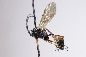  ( - CollHH4190)  @11 [ ] Creative Commons  Attribution Non-Commercial Share-Alike (2025) Hakon Haraldseide Unspecified