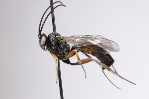  ( - CollHH4191)  @11 [ ] Creative Commons  Attribution Non-Commercial Share-Alike (2025) Hakon Haraldseide Unspecified