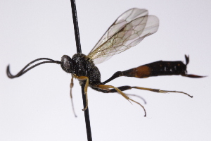  ( - CollHH4209)  @11 [ ] Creative Commons  Attribution Non-Commercial Share-Alike (2025) Hakon Haraldseide Unspecified