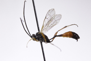  ( - CollHH4218)  @11 [ ] Creative Commons  Attribution Non-Commercial Share-Alike (2025) Hakon Haraldseide Unspecified