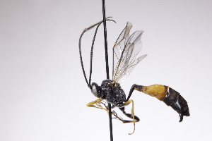  ( - CollHH4221)  @11 [ ] Creative Commons  Attribution Non-Commercial Share-Alike (2025) Hakon Haraldseide Unspecified