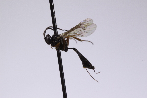  ( - CollHH4227)  @11 [ ] Creative Commons  Attribution Non-Commercial Share-Alike (2025) Hakon Haraldseide Unspecified