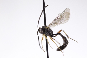  ( - CollHH4247)  @11 [ ] Creative Commons  Attribution Non-Commercial Share-Alike (2025) Hakon Haraldseide Unspecified