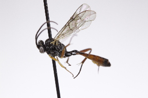  ( - CollHH4258)  @11 [ ] Creative Commons  Attribution Non-Commercial Share-Alike (2025) Hakon Haraldseide Unspecified