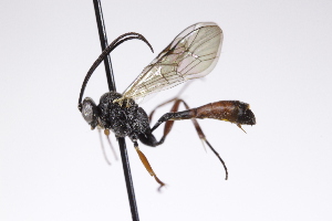  ( - CollHH4260)  @11 [ ] Creative Commons  Attribution Non-Commercial Share-Alike (2025) Hakon Haraldseide Unspecified