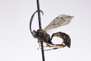  ( - CollHH4268)  @11 [ ] Creative Commons  Attribution Non-Commercial Share-Alike (2025) Hakon Haraldseide Unspecified