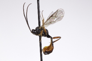  ( - CollHH4273)  @11 [ ] Creative Commons  Attribution Non-Commercial Share-Alike (2025) Hakon Haraldseide Unspecified