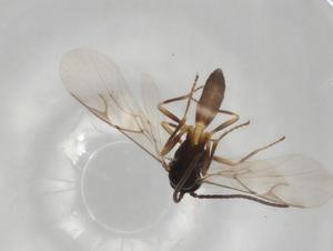  ( - BIOUG91270-B05)  @11 [ ] CreativeCommons - Attribution (2023) Centre for Biodiversity Genomics Centre for Biodiversity Genomics