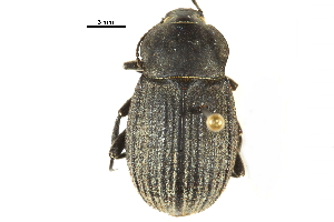  ( - CCDB-22970-B04)  @14 [ ] CreativeCommons - Attribution (2015) CBG Photography Group Centre for Biodiversity Genomics