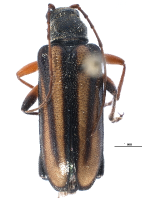  ( - CCDB-22970-G05)  @14 [ ] CreativeCommons - Attribution (2015) CBG Photography Group Centre for Biodiversity Genomics