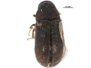  ( - CCDB-22985-E09)  @11 [ ] CreativeCommons - Attribution (2015) CBG Photography Group Centre for Biodiversity Genomics