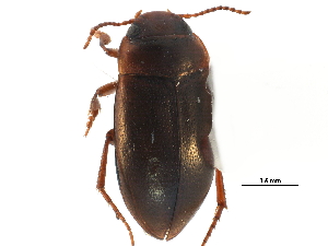  ( - CCDB-23053-B12)  @11 [ ] CreativeCommons - Attribution (2015) CBG Photography Group Centre for Biodiversity Genomics