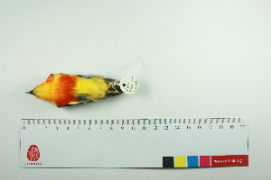  ( - TA 4025)  @11 [ ] Unspecified (default): All Rights Reserved  Unspecified Unspecified