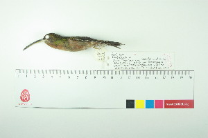  ( - TA 4043)  @11 [ ] Unspecified (default): All Rights Reserved  Unspecified Unspecified