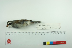  ( - TA 428)  @13 [ ] Unspecified (default): All Rights Reserved  Unspecified Unspecified