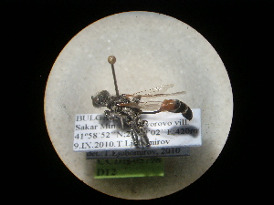 ( - CCDB-05798-D12)  @12 [ ] Copyright  G. Blagoev 2010 Unspecified