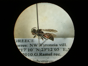  ( - CCDB-09752-B01)  @12 [ ] Copyright  G. Blagoev 2010 Unspecified