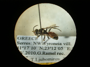  ( - CCDB-09752-B02)  @12 [ ] Copyright  G. Blagoev 2010 Unspecified