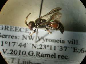  ( - CCDB-09752-B09)  @12 [ ] Copyright  G. Blagoev 2010 Unspecified