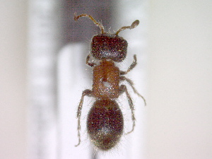  ( - CCDB-12229-C02)  @13 [ ] Copyright  G. Blagoev 2010 Unspecified