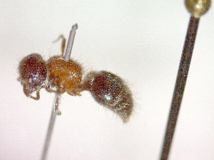  ( - CCDB-12231-H02)  @13 [ ] Copyright  G. Blagoev 2010 Unspecified