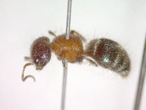  ( - CCDB-12233-F05)  @13 [ ] Copyright  G. Blagoev 2010 Unspecified