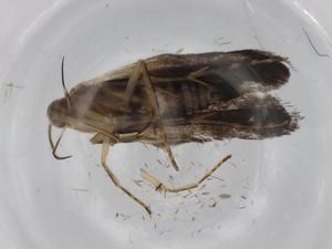  ( - BIOUG72003-D03)  @11 [ ] CreativeCommons - Attribution (2021) Centre for Biodiversity Genomics Centre for Biodiversity Genomics