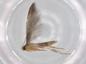  ( - BIOUG72320-D11)  @11 [ ] CreativeCommons - Attribution (2021) Centre for Biodiversity Genomics Centre for Biodiversity Genomics