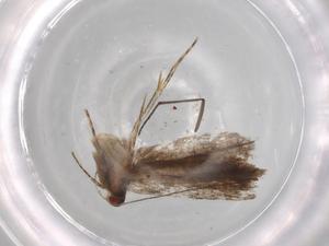  ( - BIOUG72322-A09)  @11 [ ] CreativeCommons - Attribution (2021) Centre for Biodiversity Genomics Centre for Biodiversity Genomics