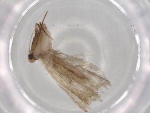  ( - BIOUG72322-B05)  @11 [ ] CreativeCommons - Attribution (2021) Centre for Biodiversity Genomics Centre for Biodiversity Genomics