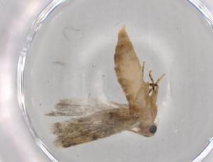  ( - BIOUG72322-C06)  @11 [ ] CreativeCommons - Attribution (2021) Centre for Biodiversity Genomics Centre for Biodiversity Genomics