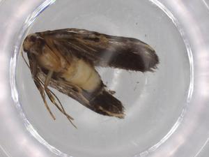  ( - BIOUG72322-C09)  @11 [ ] CreativeCommons - Attribution (2021) Centre for Biodiversity Genomics Centre for Biodiversity Genomics