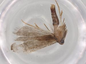  ( - BIOUG71783-F04)  @11 [ ] CreativeCommons - Attribution (2021) Centre for Biodiversity Genomics Centre for Biodiversity Genomics