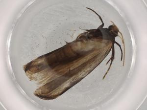  ( - BIOUG72392-C09)  @11 [ ] CreativeCommons - Attribution (2021) Centre for Biodiversity Genomics Centre for Biodiversity Genomics