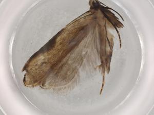  ( - BIOUG72392-D04)  @11 [ ] CreativeCommons - Attribution (2021) Centre for Biodiversity Genomics Centre for Biodiversity Genomics