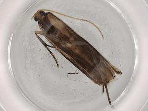  ( - BIOUG72392-D08)  @11 [ ] CreativeCommons - Attribution (2021) Centre for Biodiversity Genomics Centre for Biodiversity Genomics