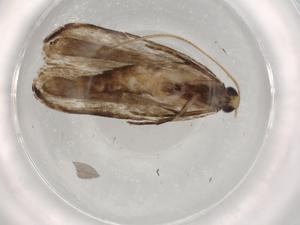  ( - BIOUG72392-D12)  @11 [ ] CreativeCommons - Attribution (2021) Centre for Biodiversity Genomics Centre for Biodiversity Genomics