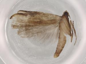  ( - BIOUG72392-E07)  @11 [ ] CreativeCommons - Attribution (2021) Centre for Biodiversity Genomics Centre for Biodiversity Genomics