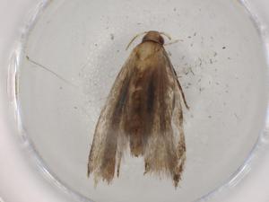  ( - BIOUG72844-C04)  @11 [ ] CreativeCommons - Attribution (2021) Centre for Biodiversity Genomics Centre for Biodiversity Genomics