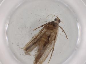  ( - BIOUG72437-B04)  @11 [ ] CreativeCommons - Attribution (2021) Centre for Biodiversity Genomics Centre for Biodiversity Genomics