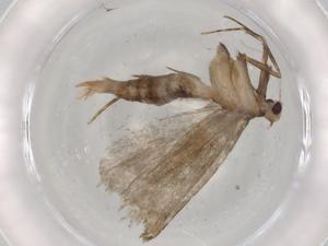  ( - BIOUG72854-C10)  @11 [ ] CreativeCommons - Attribution (2021) Centre for Biodiversity Genomics Centre for Biodiversity Genomics