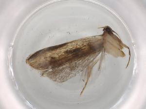  ( - BIOUG72854-D01)  @11 [ ] CreativeCommons - Attribution (2021) Centre for Biodiversity Genomics Centre for Biodiversity Genomics