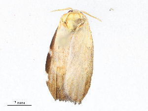  ( - CBG-A08734-E08)  @11 [ ] CreativeCommons - Attribution Share - Alike (2023) CBG Photography Group Centre for Biodiversity Genomics