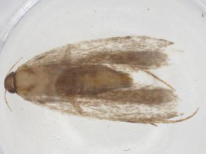  ( - CBG-A08989-G04)  @11 [ ] CreativeCommons - Attribution Share - Alike (2023) Centre for Biodiversity Genomics Centre for Biodiversity Genomics