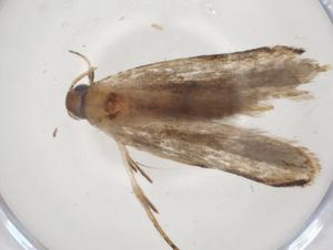  ( - CBG-A09576-D08)  @11 [ ] CreativeCommons - Attribution Share - Alike (2023) Centre for Biodiversity Genomics Centre for Biodiversity Genomics