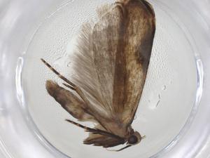  ( - CBG-A09583-F01)  @11 [ ] CreativeCommons - Attribution Share - Alike (2023) Centre for Biodiversity Genomics Centre for Biodiversity Genomics